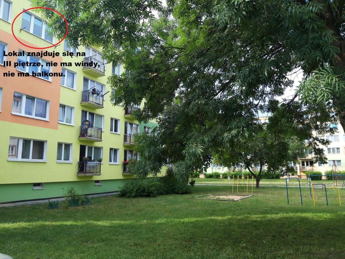 Apartament Aleksander Ciechocinek Exterior foto