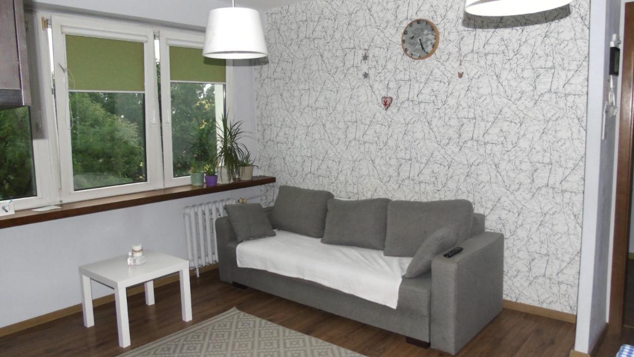 Apartament Aleksander Ciechocinek Exterior foto